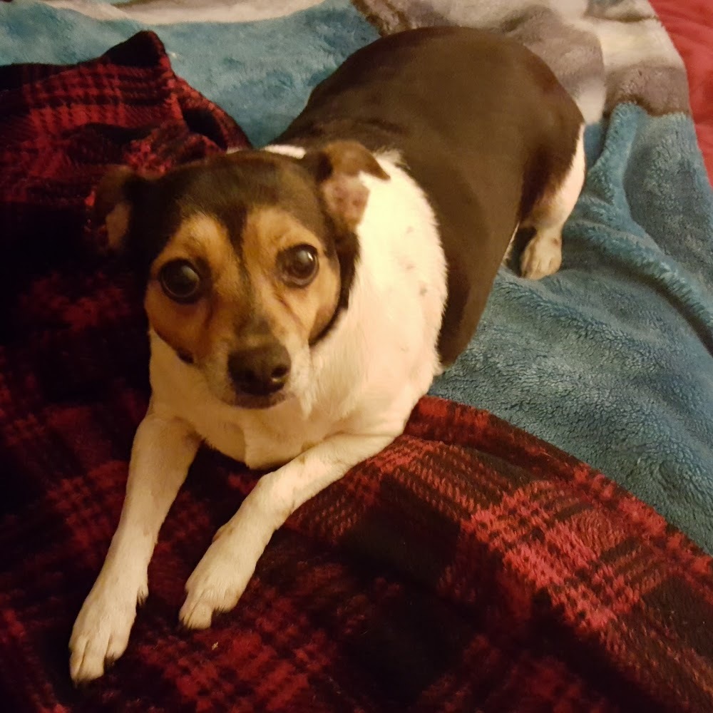 Meet your Posher, Mama